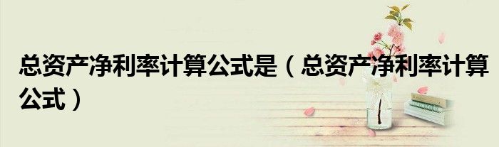总资产净利率计算公式是(总资产净利率计算公式)