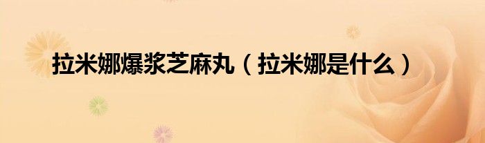 拉米娜爆浆芝麻丸(拉米娜是什么)