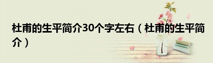 杜甫的生平简介30个字左右(杜甫的生平简介)