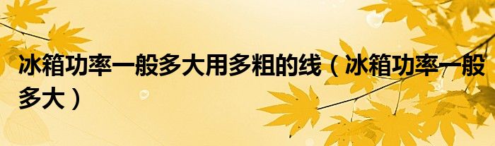 冰箱功率一般多大用多粗的线(冰箱功率一般多大)