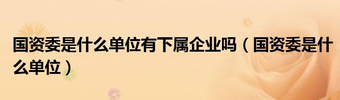 国资委是什么单位有下属企业吗(国资委是什么单位)
