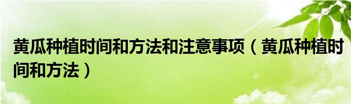 黄瓜种植时间和方法和注意事项(黄瓜种植时间和方法)