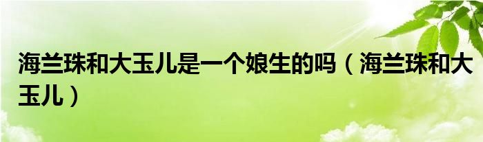 海兰珠和大玉儿是一个娘生的吗(海兰珠和大玉儿)