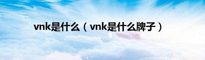 vnk是什么(vnk是什么牌子)
