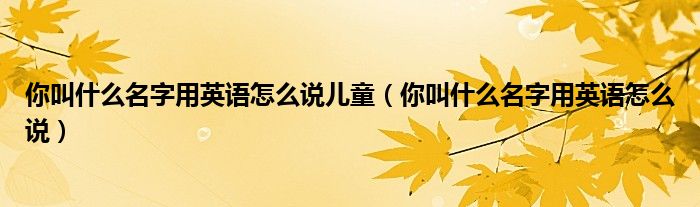 你叫什么名字用英语怎么说儿童(你叫什么名字用英语怎么说)