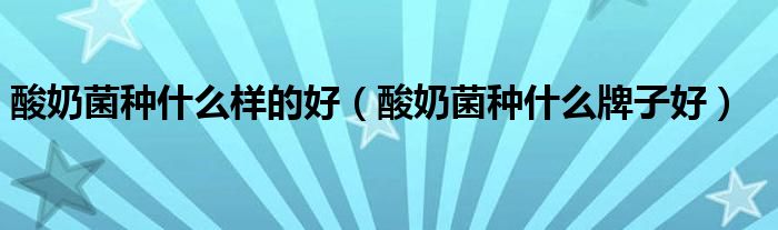 酸奶菌种什么样的好(酸奶菌种什么牌子好)