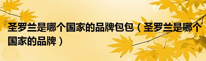 圣罗兰是哪个国家的品牌包包(圣罗兰是哪个国家的品牌)