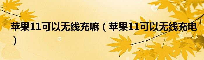 苹果11可以无线充嘛(苹果11可以无线充电)