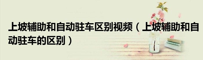 上坡辅助和自动驻车区别视频(上坡辅助和自动驻车的区别)