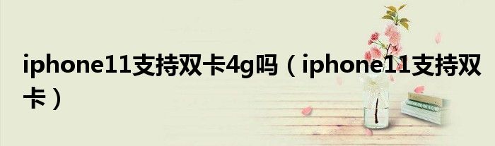 iphone11支持双卡4g吗(iphone11支持双卡)