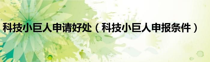 科技小巨人申请好处(科技小巨人申报条件)