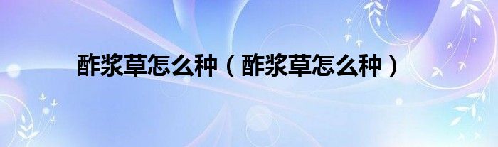 酢浆草怎么种(酢浆草怎么种)