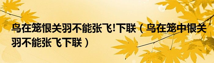 鸟在笼恨关羽不能张飞!下联(鸟在笼中恨关羽不能张飞下联)