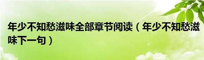 年少不知愁滋味全部章节阅读(年少不知愁滋味下一句)