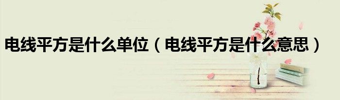 电线平方是什么单位(电线平方是什么意思)