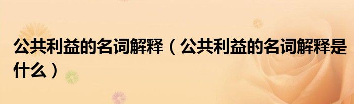 公共利益的名词解释(公共利益的名词解释是什么)