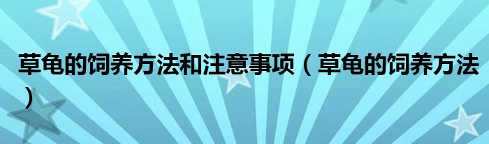 草龟的饲养方法和注意事项(草龟的饲养方法)