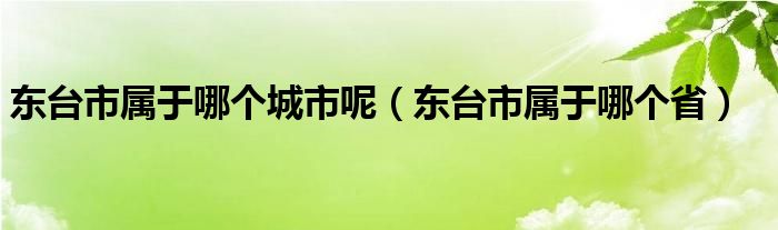 东台市属于哪个城市呢(东台市属于哪个省)