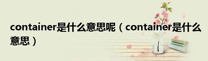 container是什么意思呢(container是什么意思)