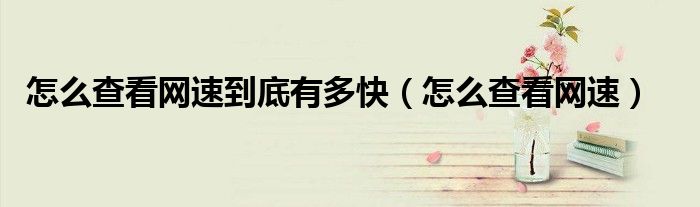 怎么查看网速到底有多快(怎么查看网速)