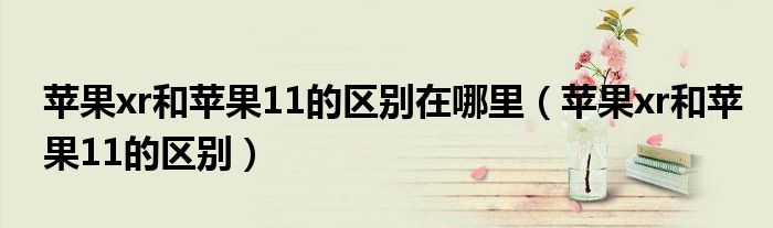 苹果xr和苹果11的区别在哪里(苹果xr和苹果11的区别)