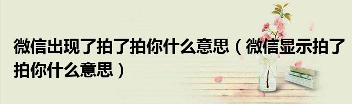 微信出现了拍了拍你什么意思(微信显示拍了拍你什么意思)