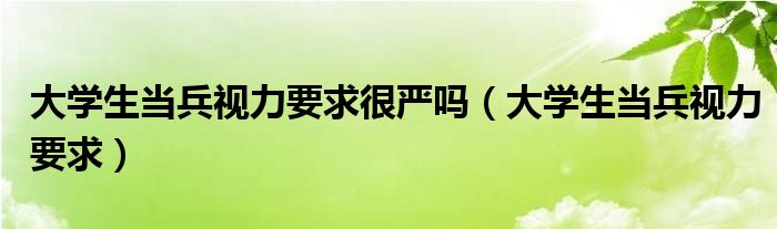 大学生当兵视力要求很严吗(大学生当兵视力要求)