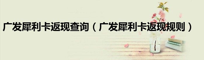 广发犀利卡返现查询(广发犀利卡返现规则)