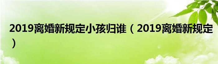 2019离婚新规定小孩归谁(2019离婚新规定)