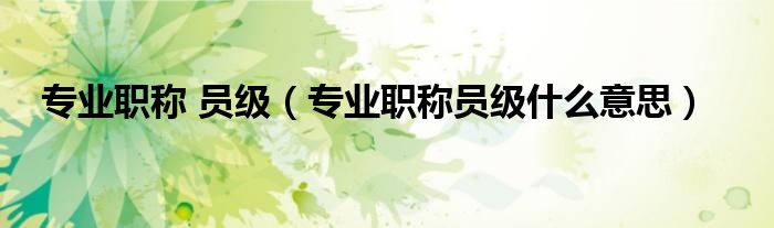 专业职称 员级(专业职称员级什么意思)
