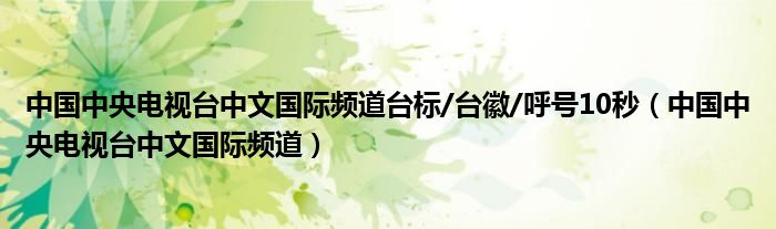 中国中央电视台中文国际频道台标/台徽/呼号10秒(中国中央电视台中文国际频道)