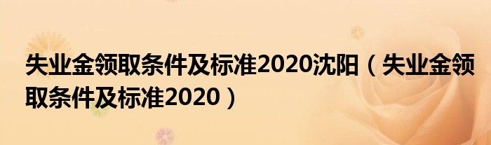 失业金领取条件及标准2020沈阳(失业金领取条件及标准2020)