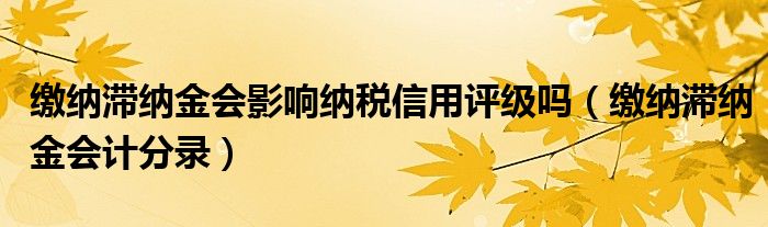 缴纳滞纳金会影响纳税信用评级吗(缴纳滞纳金会计分录)