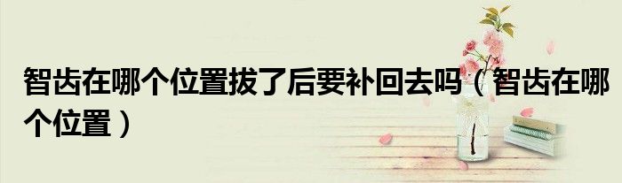 智齿在哪个位置拔了后要补回去吗(智齿在哪个位置)