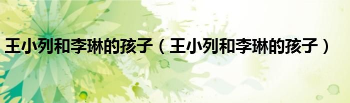 王小列和李琳的孩子(王小列和李琳的孩子)