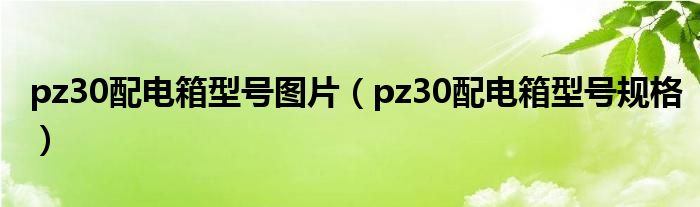 pz30配电箱型号图片(pz30配电箱型号规格)
