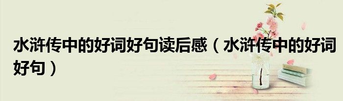 水浒传中的好词好句读后感(水浒传中的好词好句)