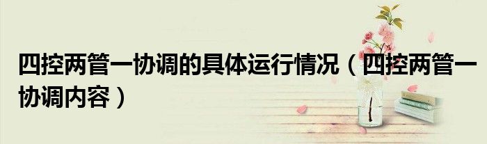 四控两管一协调的具体运行情况(四控两管一协调内容)