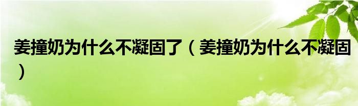 姜撞奶为什么不凝固了(姜撞奶为什么不凝固)