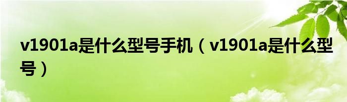 v1901a是什么型号手机(v1901a是什么型号)