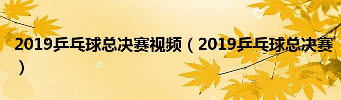 2019乒乓球总决赛视频(2019乒乓球总决赛)