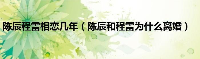 陈辰程雷相恋几年(陈辰和程雷为什么离婚)