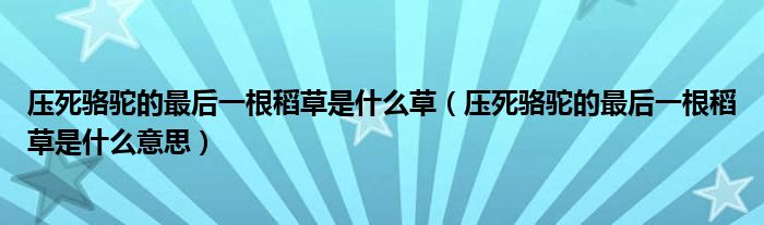 压死骆驼的最后一根稻草是什么草(压死骆驼的最后一根稻草是什么意思)