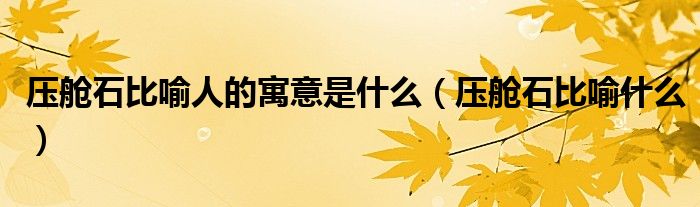 压舱石比喻人的寓意是什么(压舱石比喻什么)