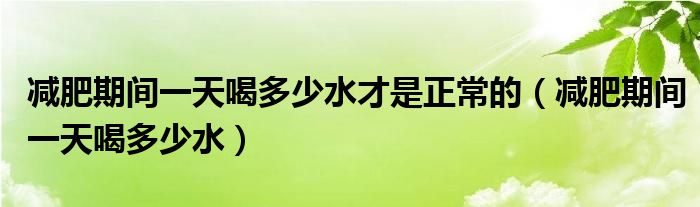 减肥期间一天喝多少水才是正常的(减肥期间一天喝多少水)