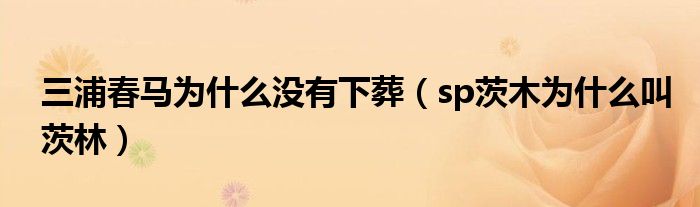 三浦春马为什么没有下葬(sp茨木为什么叫茨林)