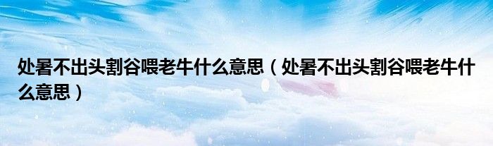 处暑不出头割谷喂老牛什么意思(处暑不出头割谷喂老牛什么意思)