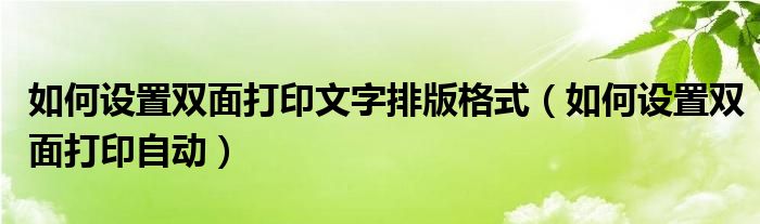 如何设置双面打印文字排版格式(如何设置双面打印自动)