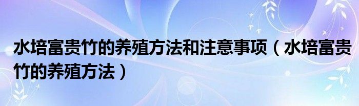 水培富贵竹的养殖方法和注意事项(水培富贵竹的养殖方法)