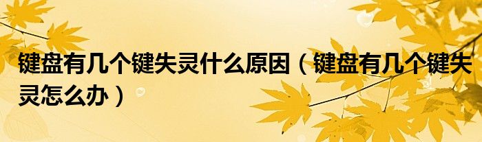 键盘有几个键失灵什么原因(键盘有几个键失灵怎么办)